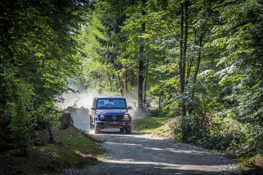  Mercedes-Benz G350 d (W463) 2019 года  (WW) (фото 38 из 41)